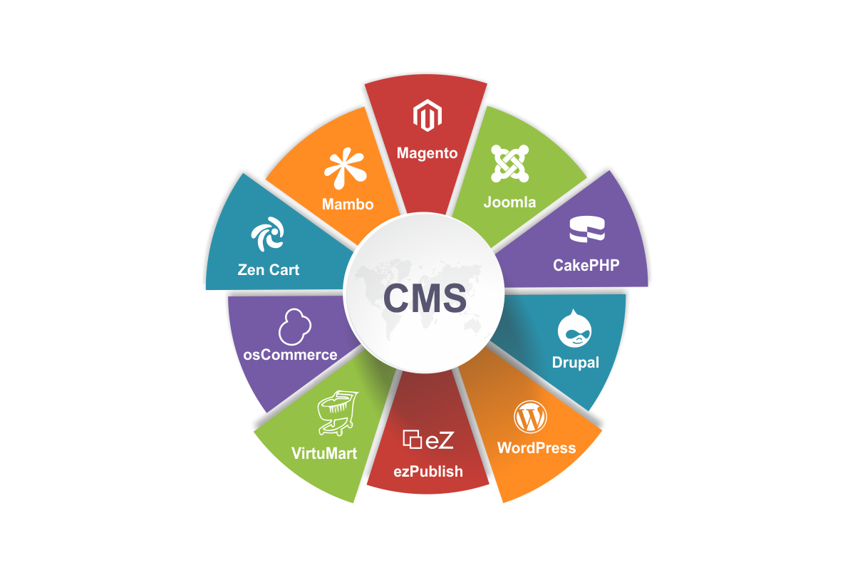 What is Content Management System (CMS)? and its importance?
