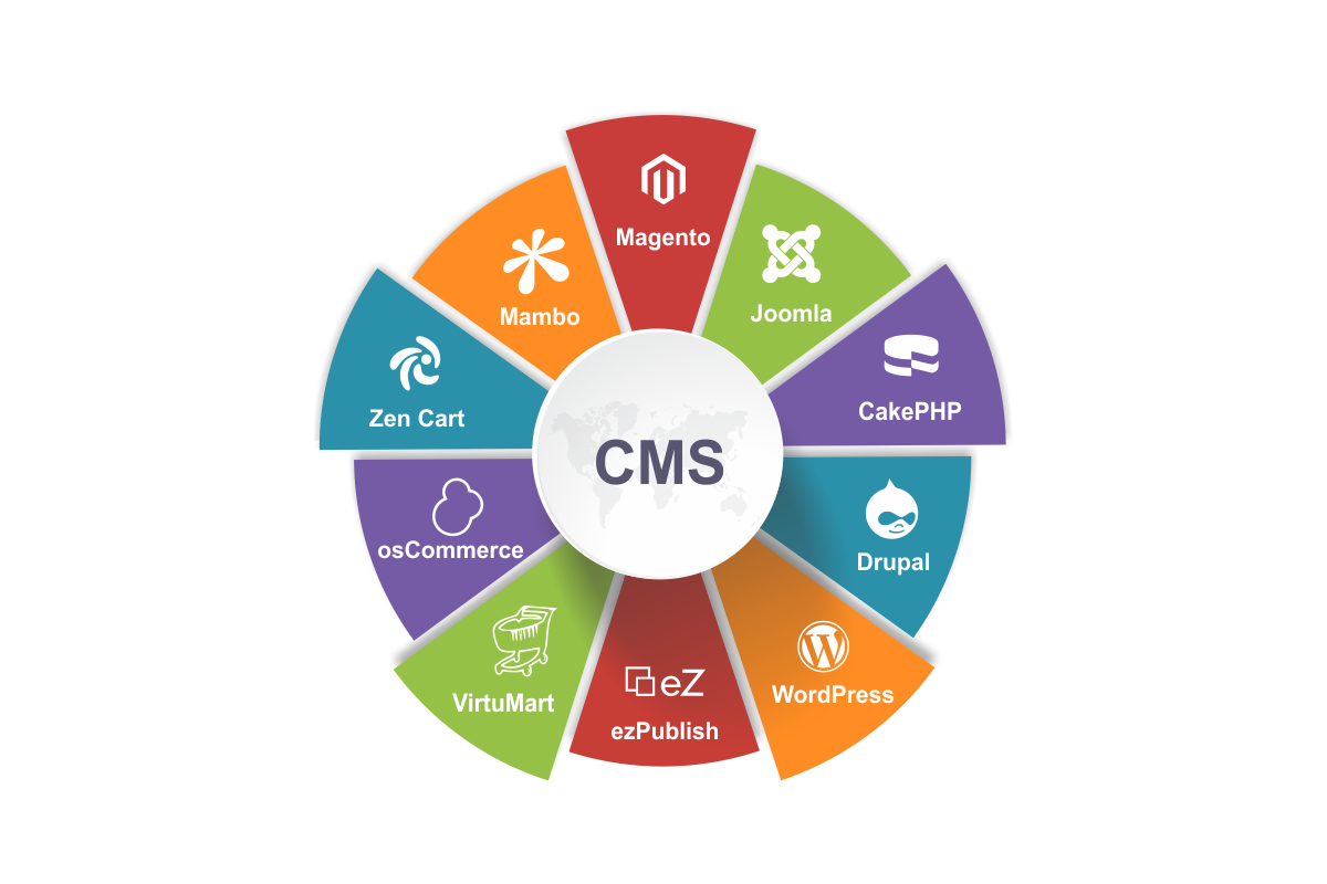 What Is Content Management System CMS And Its Importance 